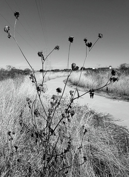 Barren - Photo Print