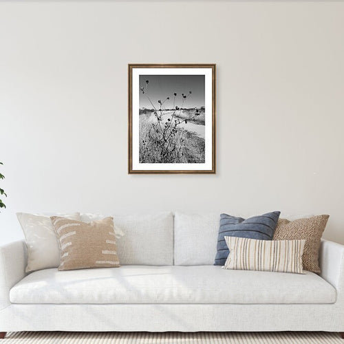 Barren - Photo Print