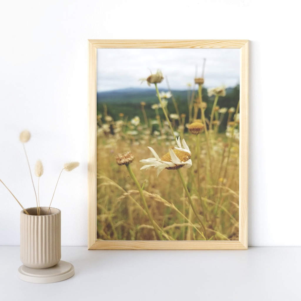 Fly Away - Photo Print