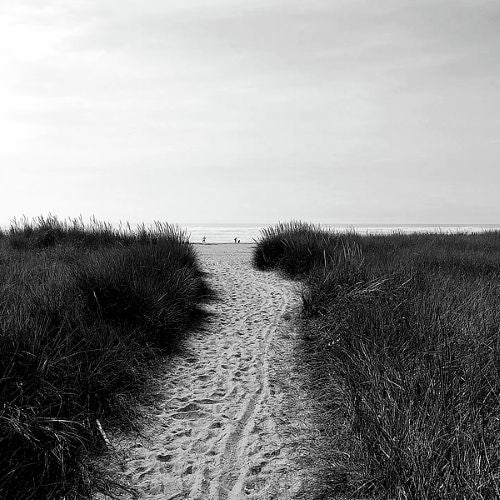 Pathways - Photo Print