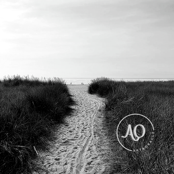 Pathways - Photo Print