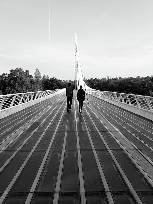Sundial Bridge - Art Print