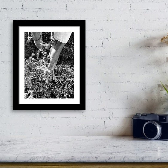 Tangle - Photo Print