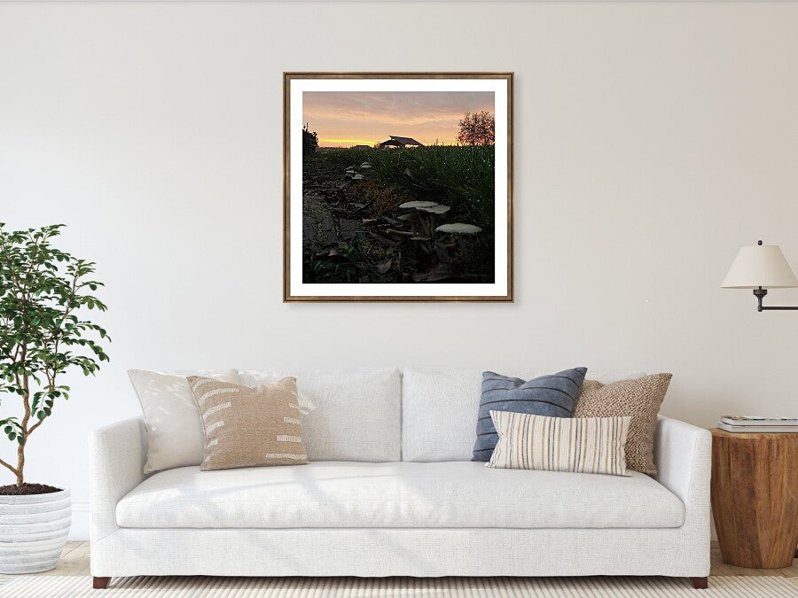 Mushroom Morning - Photo Print